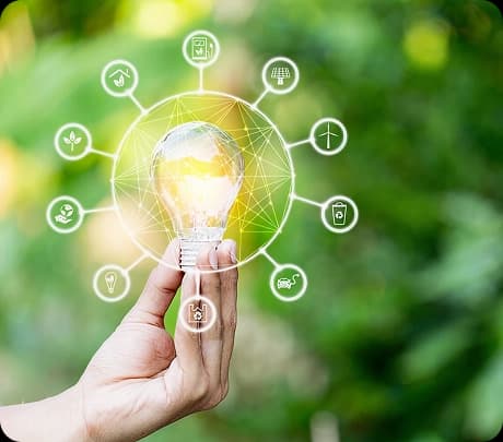 Business Model Sustainability