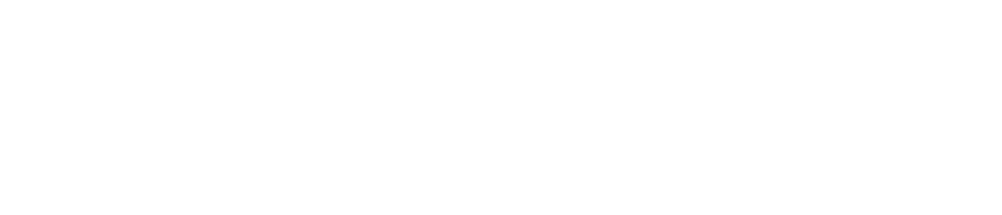 ANOVA Lighting white logo